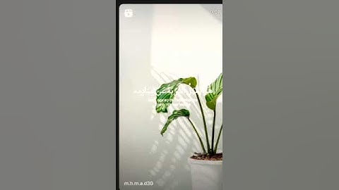 تلاوة قرآن مؤثرة تريح الأعصاب أجر لي ولكم أكتب شي تؤجر عليه ــ