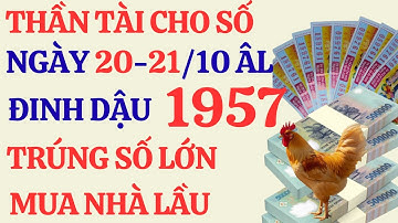 Tử Vi Đinh Dậu 1957 : 2 Ngày Vàng Bùng Nổ Tài Lộc - Trúng Số, Xây Nhà Lầu .