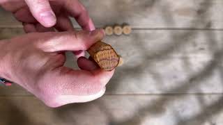 Download Lagu Hado Shiosai SG2 Oak Kiritsuke Bunka 18 cm MP3