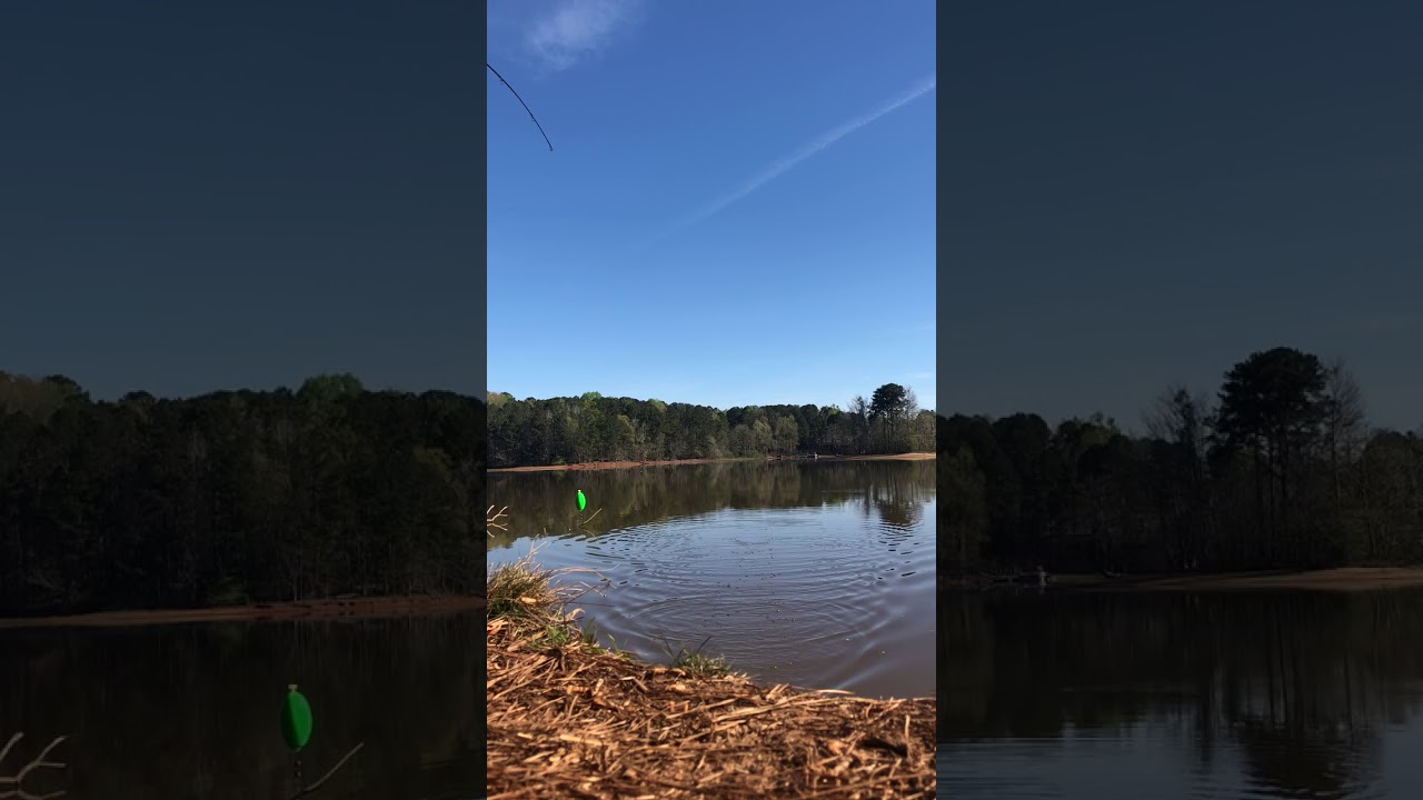 CRAPPIE FISHING 🎣 WEST POINT LAKE LAGRANGE GEORGIA - YouTube