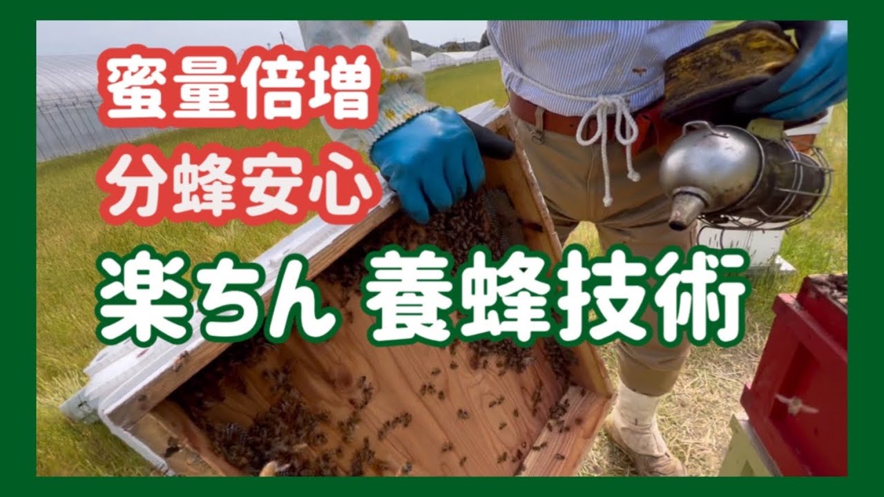 蜜量倍増　分蜂安心　楽ちん養蜂技術