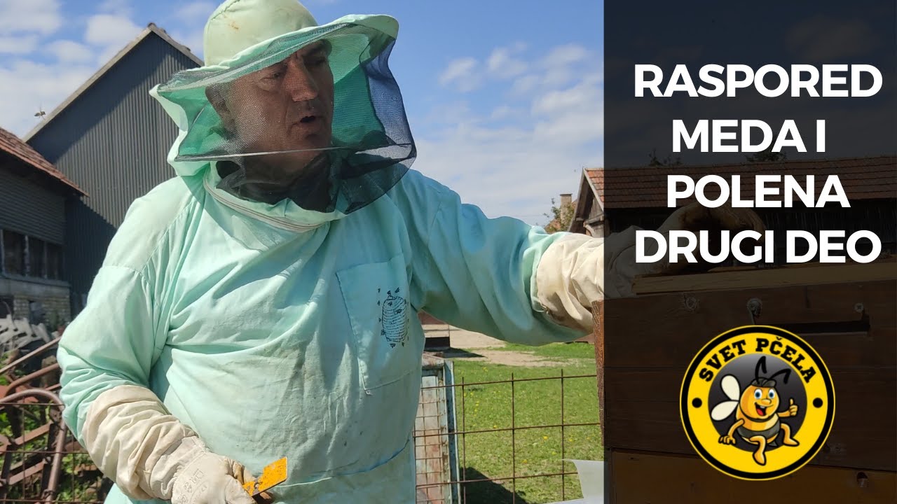 Polen i ''ćoškasti'' med - 2. deo - Pčelarstvo 2022