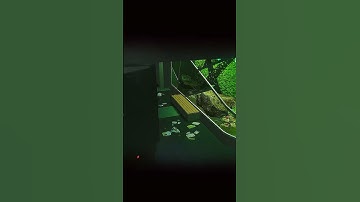 How to Abuse Desync - Escape From Tarkov