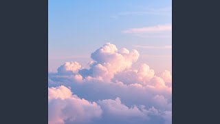 Paradise Found Net Worth