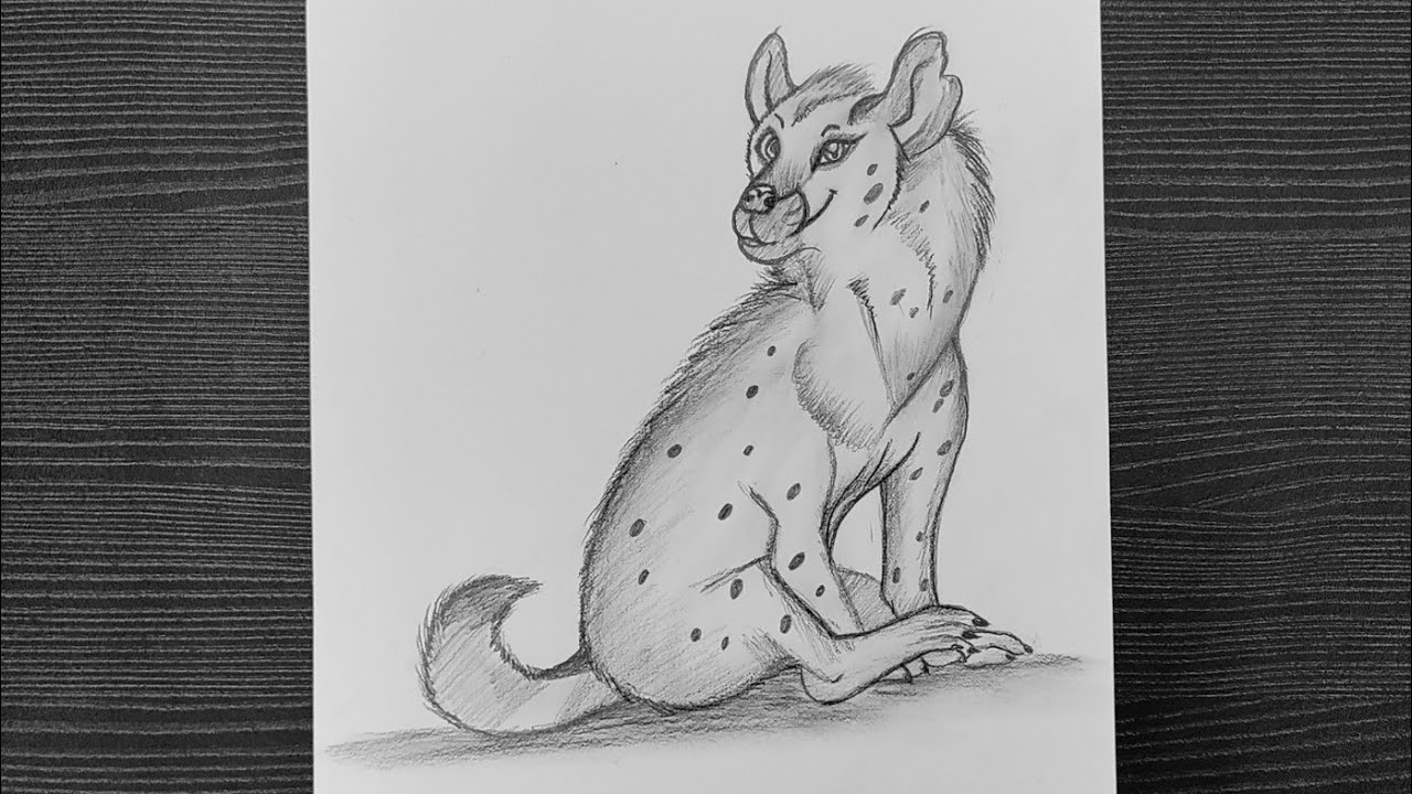 How To Draw Hyena // Hyena Face Drawing // Hyena Drawing Easy // Step
