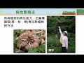 都市農業-園藝植物繁殖技術及應用操作