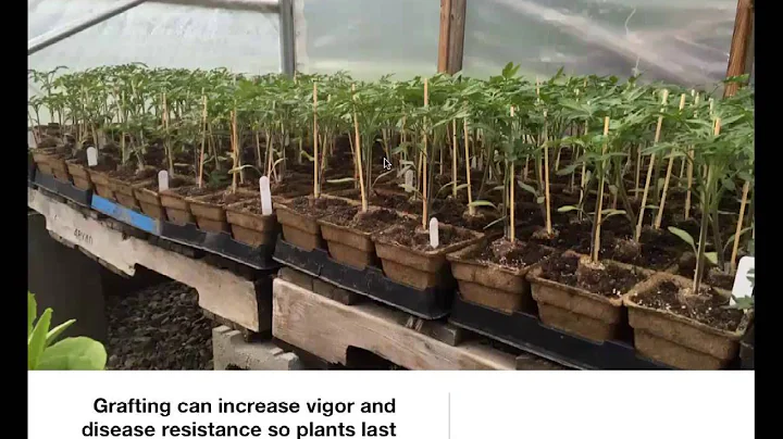 Andrew Mefferd: Ten Tips for Greenhouse and Hoop House Production