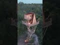 Building Bamboo House And Underground With Swimming Pools