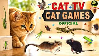 CAT ENTERTAINMENT TV | GAMES FOR CATS TO WATCH | MICE & LIZARD MAZE MANIA | VIDEO FOR CATS 4K 60 FPS screenshot 4