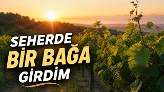 Seherde Bir Bağa Girdim| Bu Yorumu Daha Önce Duymadınız