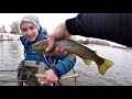 Winter Fishing on the Bighorn River - with Maynard's View! (Fishing Montana)