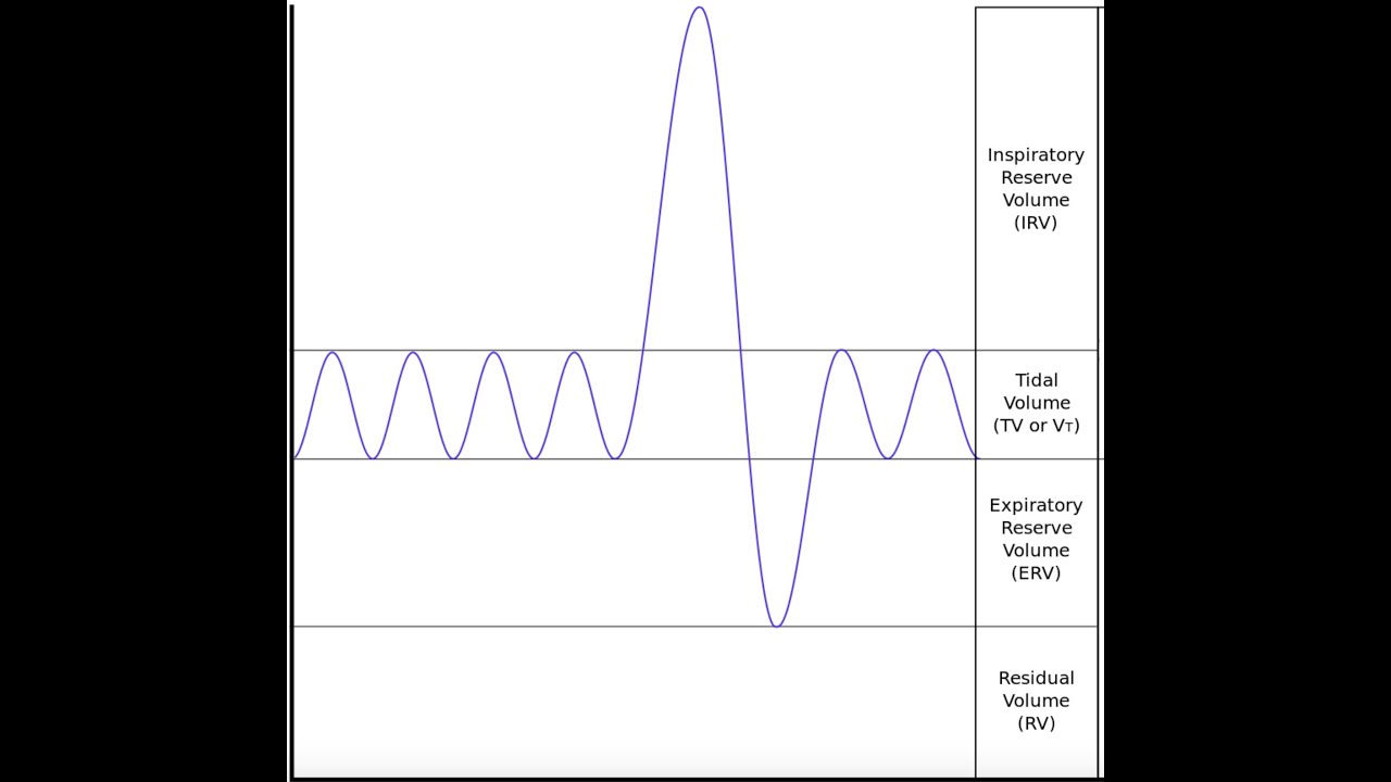 Asthma Diagnosis