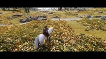 SkyrimSE Horseback Riding Improvements