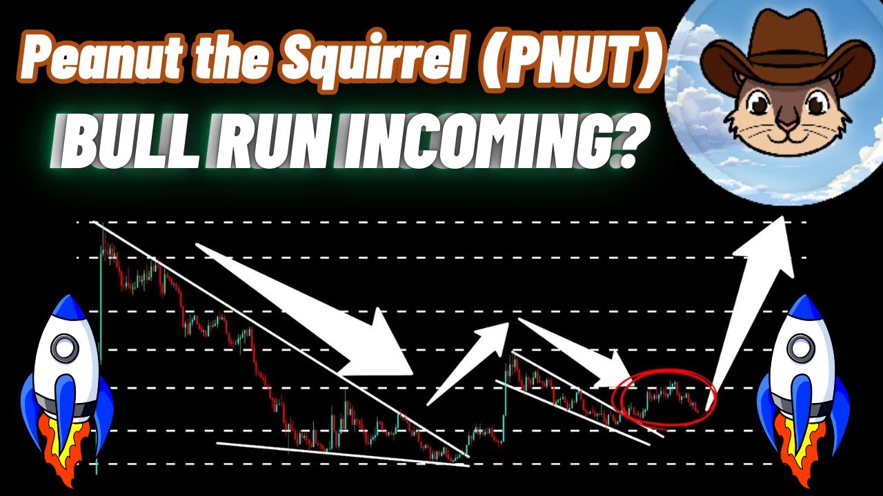 Peanut the Squirrel Coin Bull Run Update! | PNUT Crypto News - YouTube