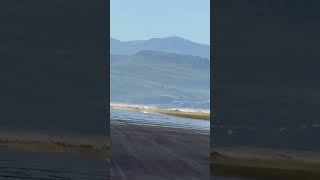 world's fastest single motor rc car 224mph