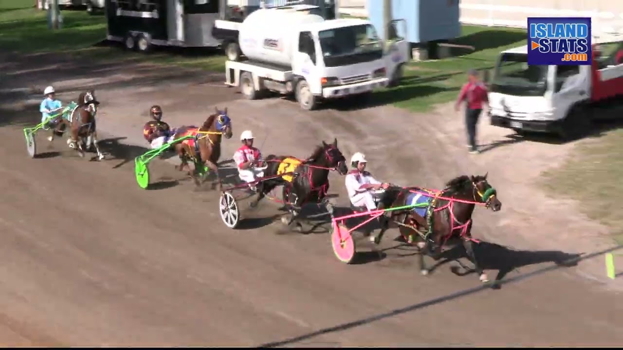 Harness Racing Feb 11th 2024