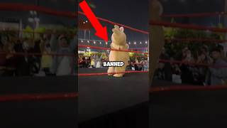 Are Labubus Getting Banned?