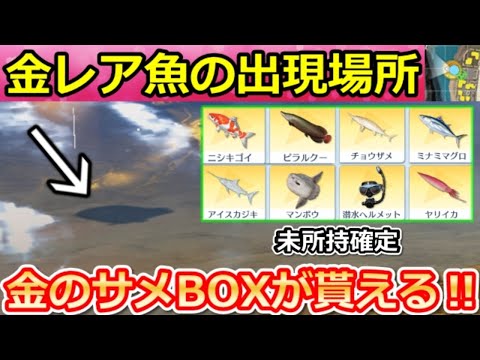 【荒野行動】超効率化‼『金レア魚の出現場所』全6ヶ所！必ず未所持の魚が釣れる裏技・金のサメサプライズBOX特典・撃破ボイス・釣りイベント/コンプ完全攻略（Vtuber）