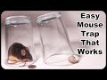 Glass and coin mouse trap  easy mouse trap that works mousetrap monday