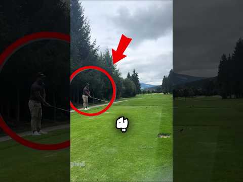 این اقا داخل گلف خیلی مهارت داره ولی بقیه اونو مسخره میکنن بهش همچین جوابی میدن