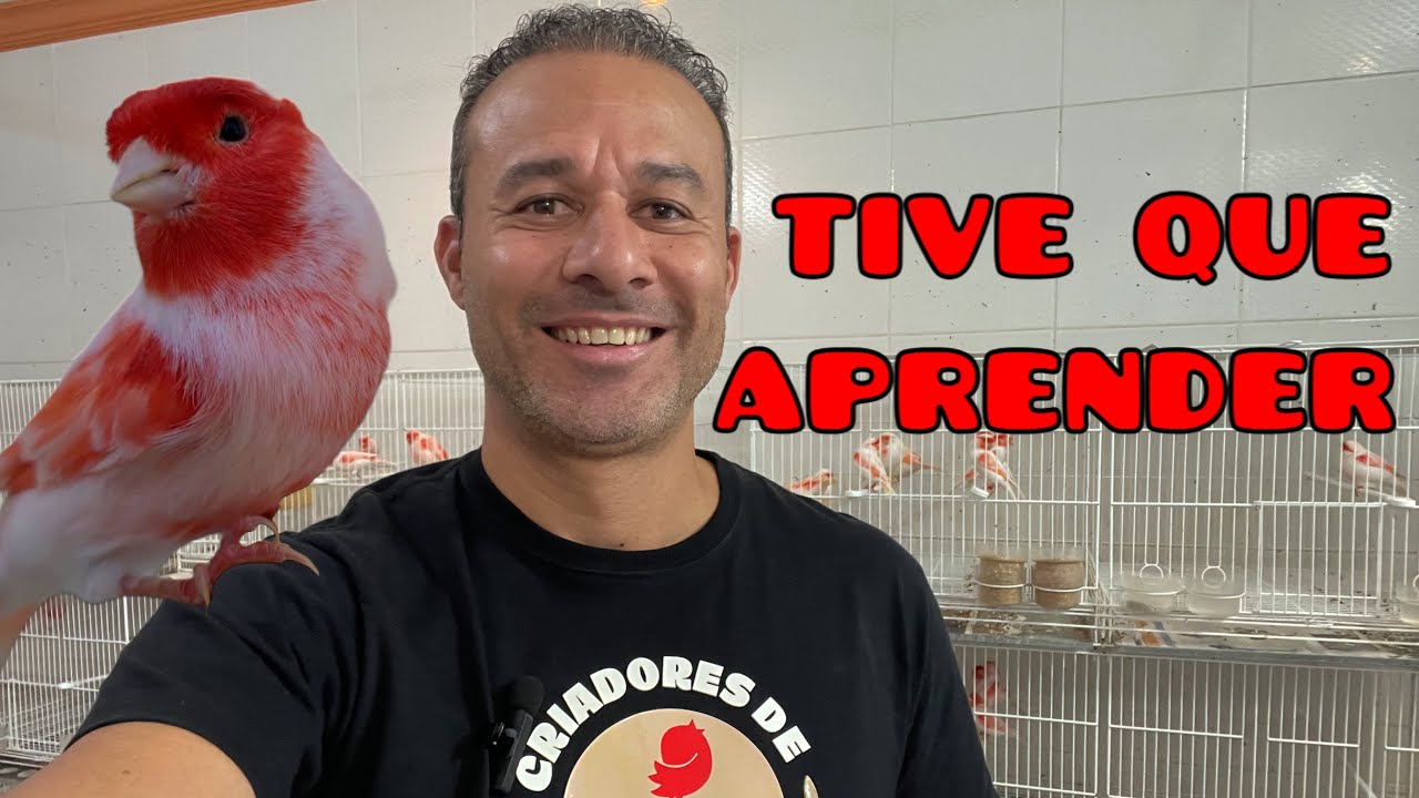 Quando aprendi isso… passei a ser mais feliz com minha criação