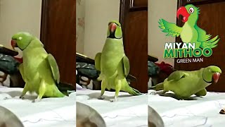 Green Mans Reaction After Eating Chocolate Miyan Mithoo Official