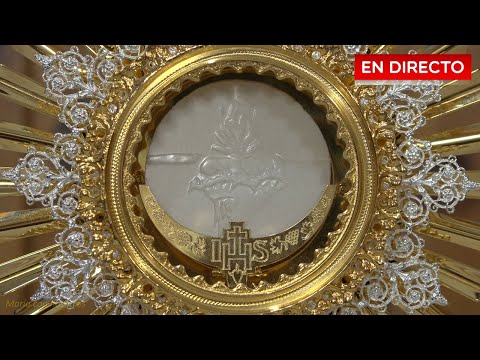 🔴Live Adoration of the Blessed Sacrament / Adoración al Santísimo en vivo