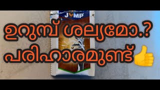 Download Lagu Bayer Jump, Fipronil Insecticide ഉറുമ്പ്  ശല്യമാകുന്നുണ്ടോ.? പരിഹാരം  ഉണ്ട് ant killer ant repellent MP3