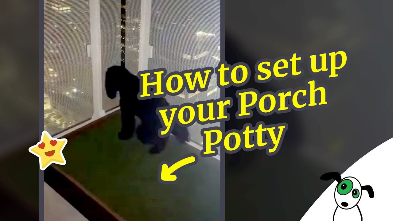 Behind the Scenes: How to set up your Porch Potty for a deck potty