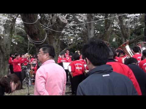 あけぼの山公園さくらまつり、市立柏高校吹奏楽部演奏①