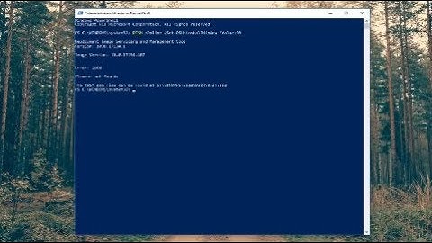 Keep Uninstall Upgrade Option Longer Than 30 Days In Windows 10 [Tutorial]