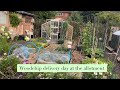 🥒 July 24 Allotment tour and refreshing our wood chip paths 🪵