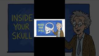 Why Humans Are the Only Animals That Get Bored
