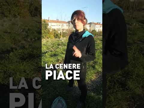 Video: Composting Ashes: la cenere è buona per il compost?