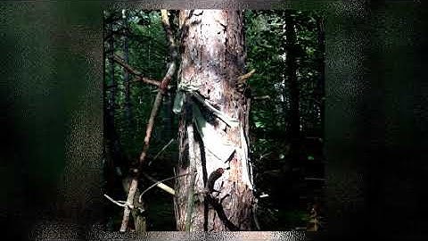 E+E ‎– Edited​/Remixed [2008​-​2012] Full Release