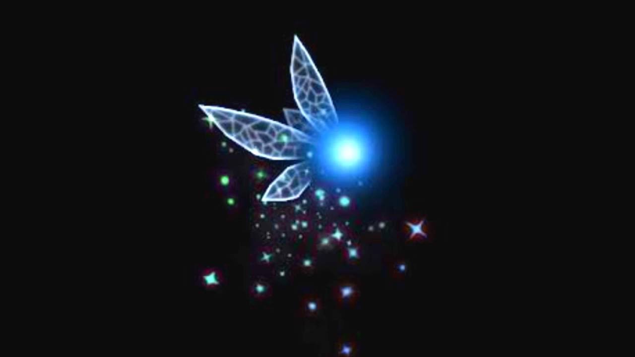 Navi Zelda Navi Zelda