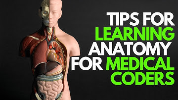 LEARNING ANATOMY TIPS FOR MEDICAL CODERS