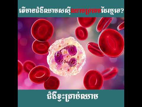 What are blood cells and their functions? ជំងឺមហារីកគ្រាប់ឈាម