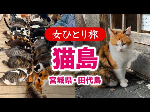 【女ひとり旅】猫島／宮城県田代島 2024.10【国内旅行】
