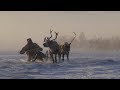 Нижняя Колыма. Родовая община "Турваургин"
