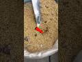 😨😱 1 मिनट में धान से चावल निकालने की मशीन!🌾Rice Processing Machine 🌾#shorts