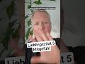 Lieblingszitat 5 - Mitgefühl #stoizismus