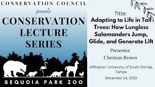 Adapting to Life in the Trees: How Lungless Salamanders Jump, Glide,& Generate Lift โ Brown 12/14/22