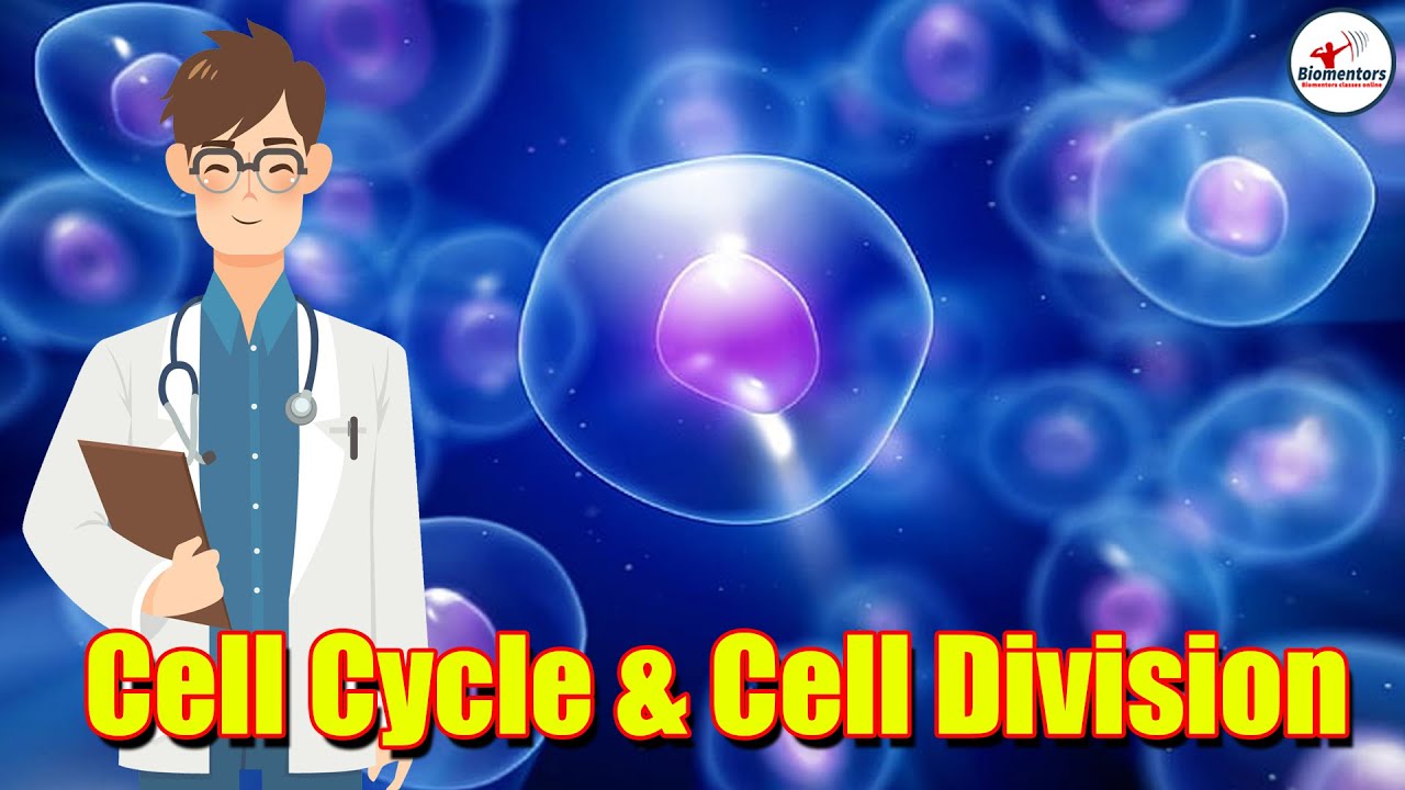 Cell Cycle & Cell Division l Lecture 7 l Biology l NEET - YouTube