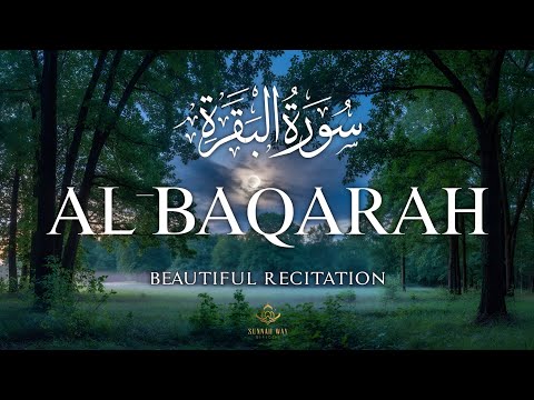 Surah Al-Baqarah (سورة البقره) | Powerful Quran Tilawat for Protection & Blessings | Alaa Aqel