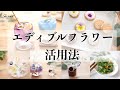 【決定版】食べられるお花♩エディブルフラワーの使い方