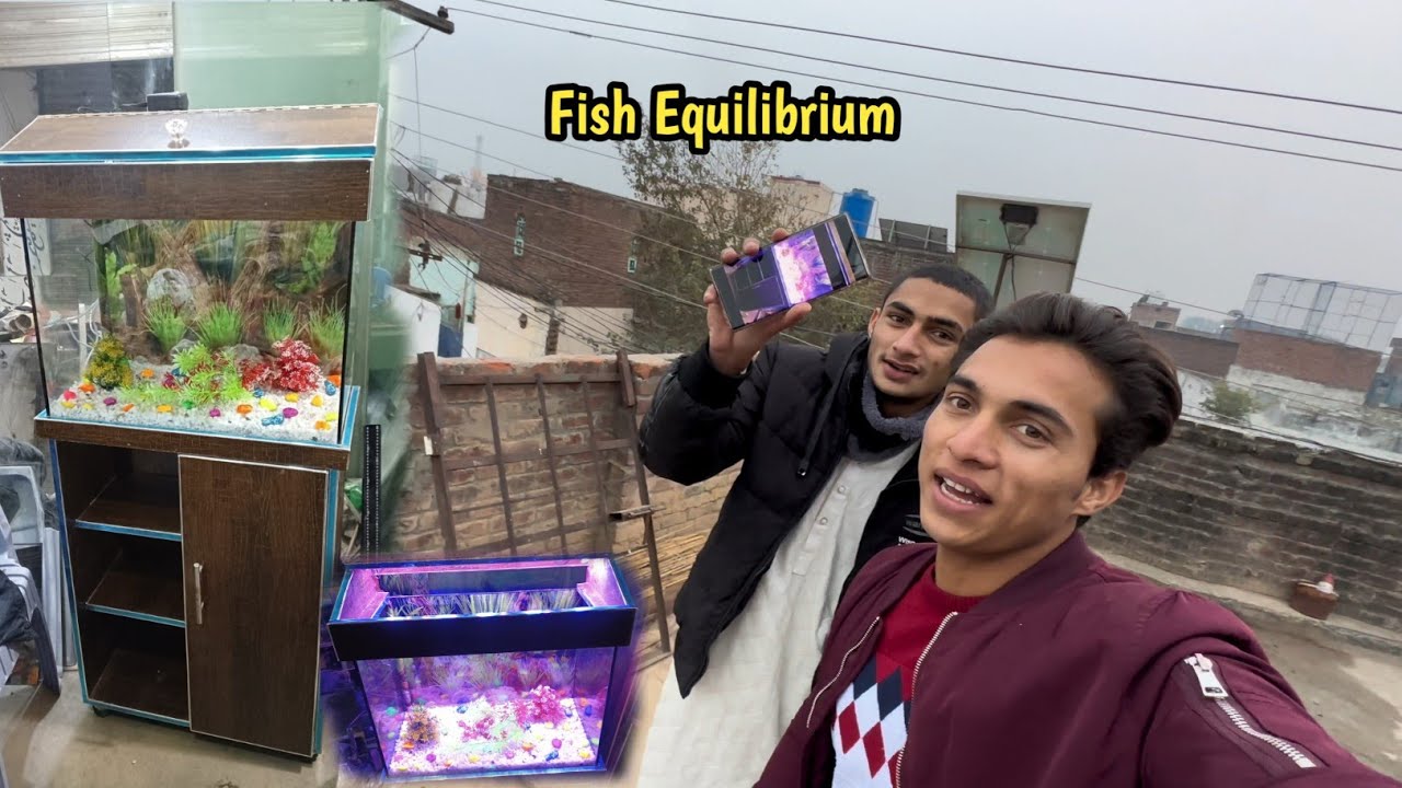 Hamara Fish Aquarium Bane Gaya 😱 - YouTube