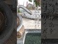【開運】最強金運神社！岩国白蛇神社　白蛇様のお力でお清めお祓いください　#金運上昇　#白蛇神社