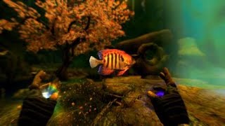SKYRIM - Angelfish, Pygmy Sunfish & Spadefish location (by hand)