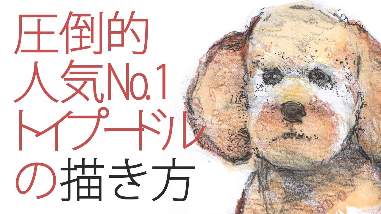 トイプードルの描き方 水彩絵具他 How To Draw Toy Poodle 解説と豆知識 Youtube